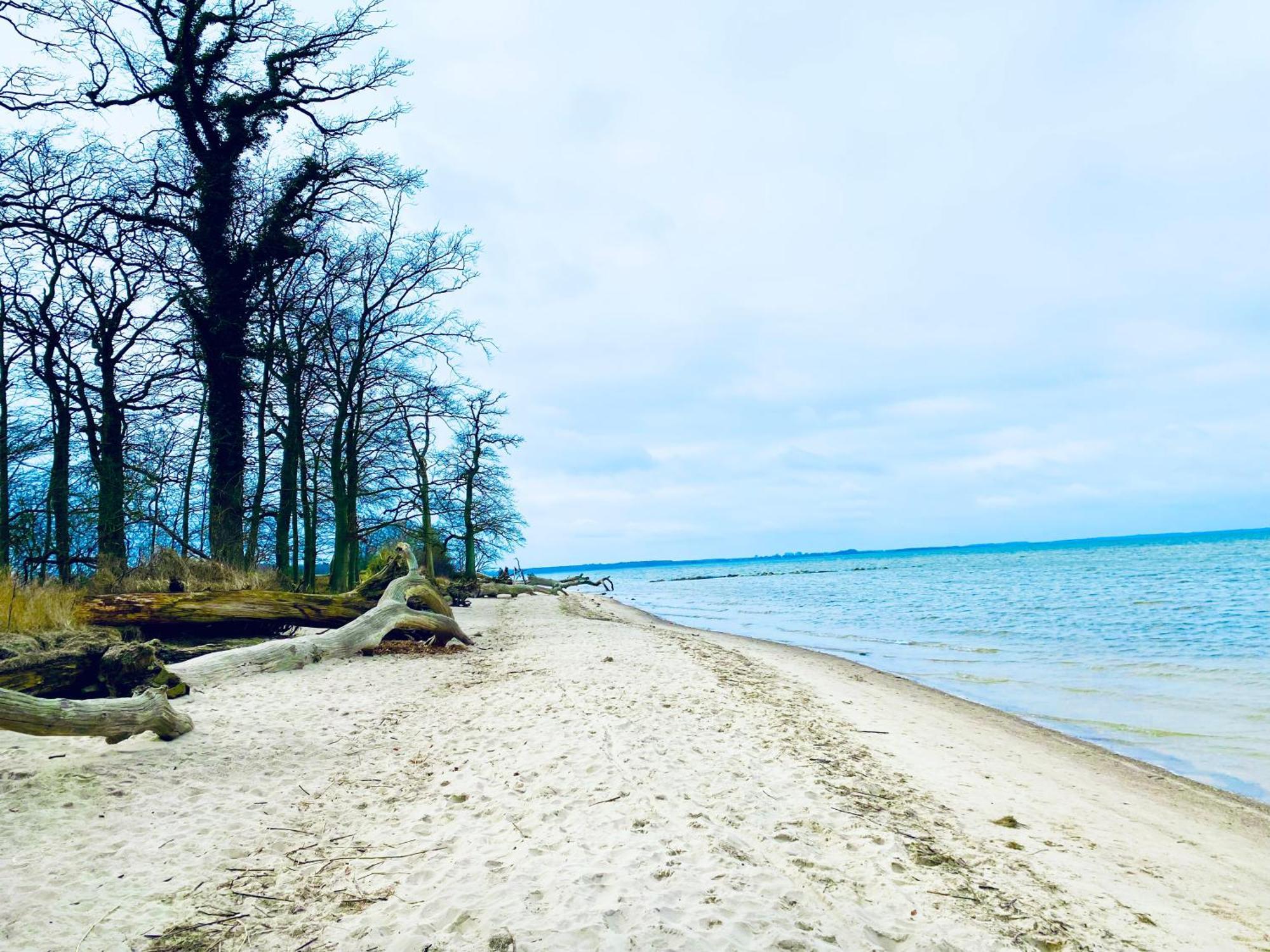 Ferienhaus Am Strand Loissin Exteriör bild